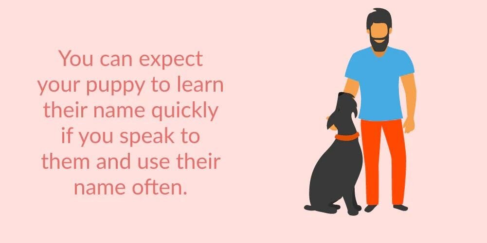 Puppies respond to sound and do not understand the meaning of a name. So if you decide to name your furbaby Rumpelstiltskin, you might want to reco...