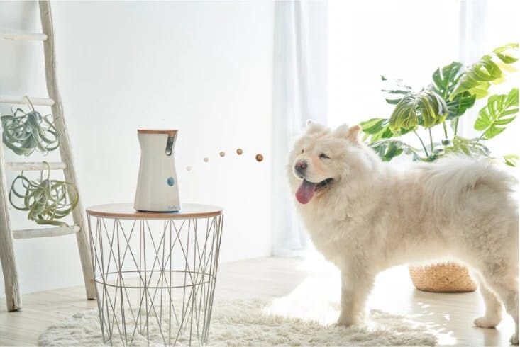 Forbes: The Furbo Dog Camera Just Got Even Better With Its New Dog Nanny Service