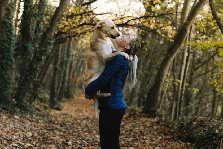 Picking up dog image