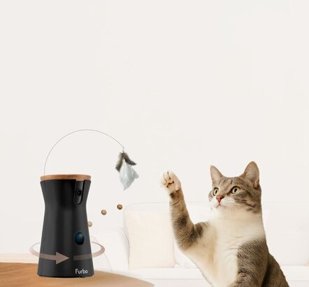 Furbo 360 cat camera with a cat
