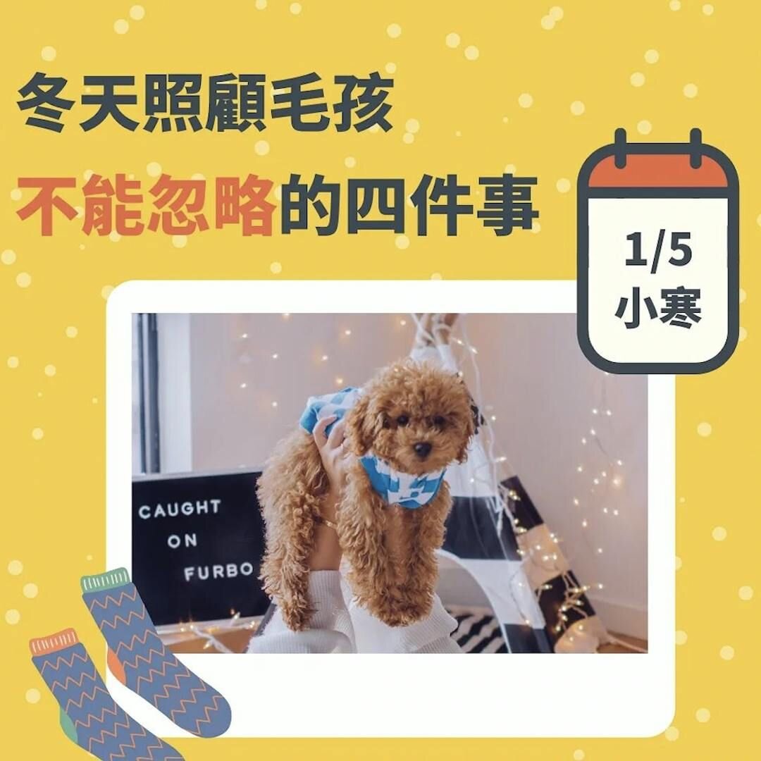冬季毛孩護理指南｜寒冬照顧毛孩不可忽略的4件事