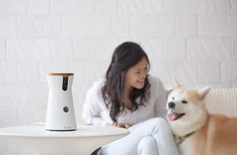 furbo與使用者、狗狗