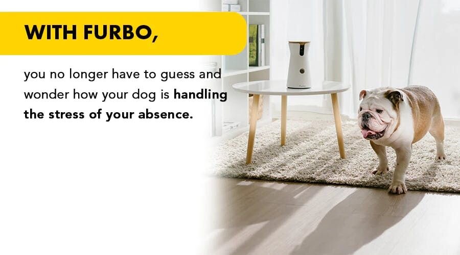 With Furbo, you no longer have to guess and wonder how your dog is handling the stress of your absence