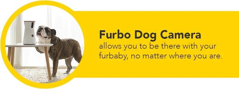 furbo dog camera