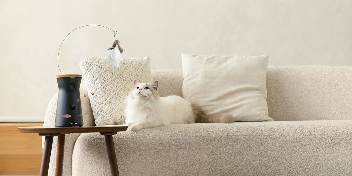 A photo of a ragdoll cat lying on a couch next to a Furbo 360 Cat Camera