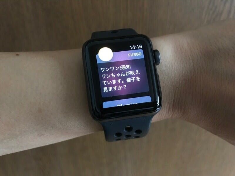 他にも嬉しい機能がありました。それは“スマートドック通知”で、今何が起きているかをリアルタイムで知らせてくれるというものです。
例えば、犬が吠えたり、家族が帰ってきたり犬が起きたりすると、その都度スマホに通知をしてくれるのです。