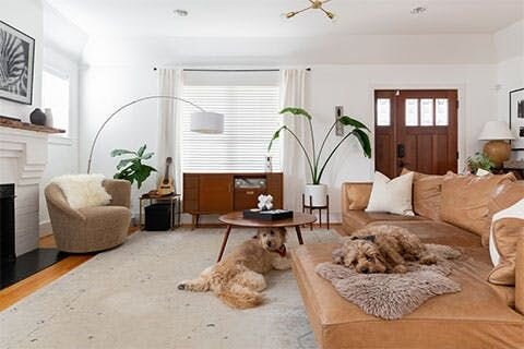 A photo of two labradoodles, one lying on a rug and one on a mat
