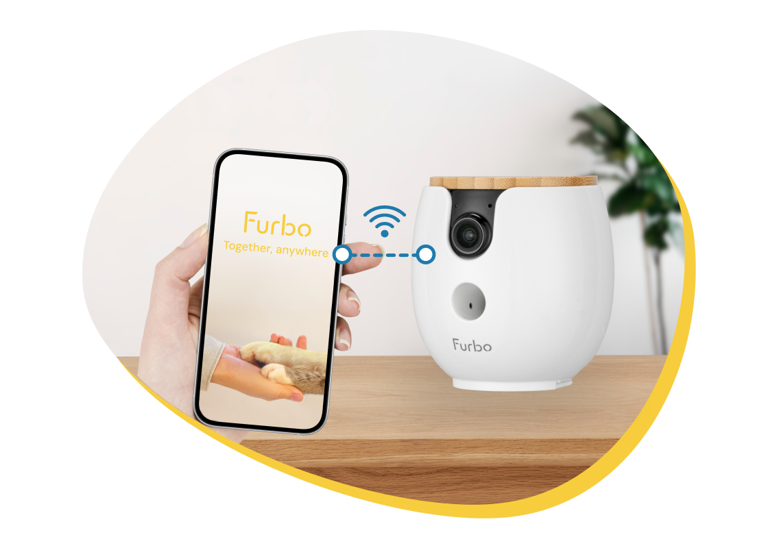 connect app to camera