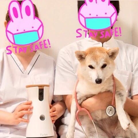 豆柴なずなママ(@nazuna0428)の声