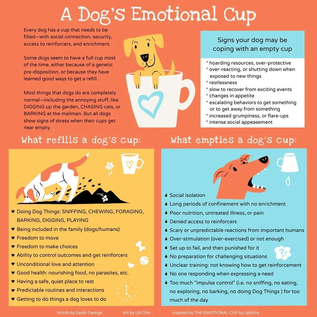 A dog's emotional cup illustration