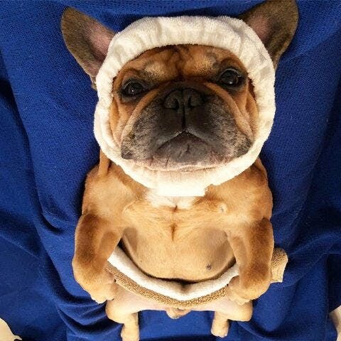 ママさん「ひとつの動画です。2016年10月10日の投稿だったんですけど。いいねも多くて、本当にすごかったんです。そこから急激に。たぶん皆さんご存知のマッサージの動画です。」