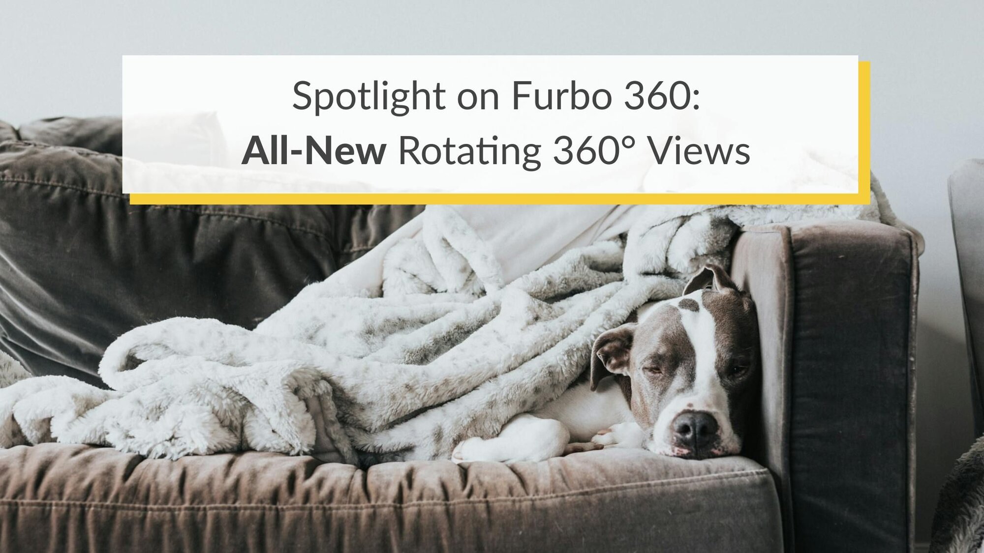 Furbo now with stunning full HD camera for rotating 360° views