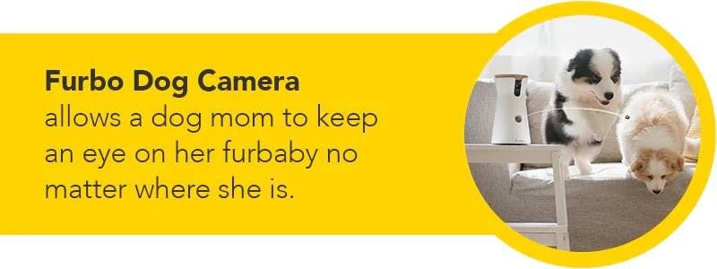 Furbo Dog Camera