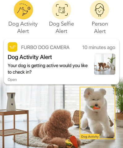 Smart Alert in Furbo Dog Nanny