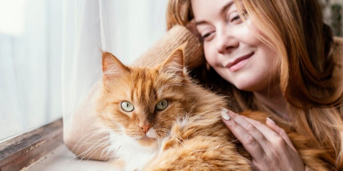 Paws For Celebration: Honoring International Rescue Cat Day With Furbo