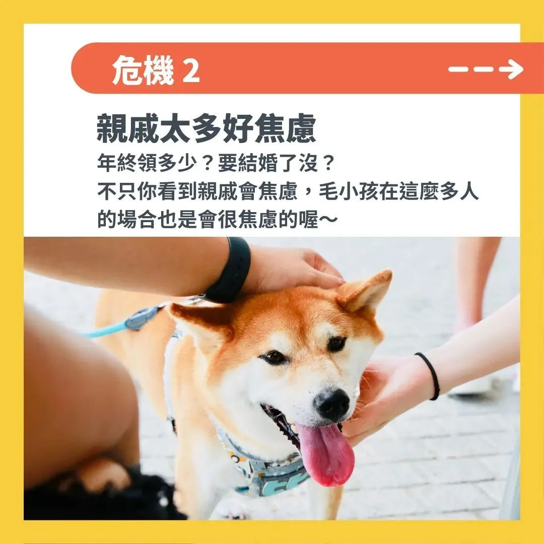 狗狗焦慮