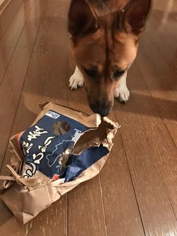 ↑ お米を食べてしまった福