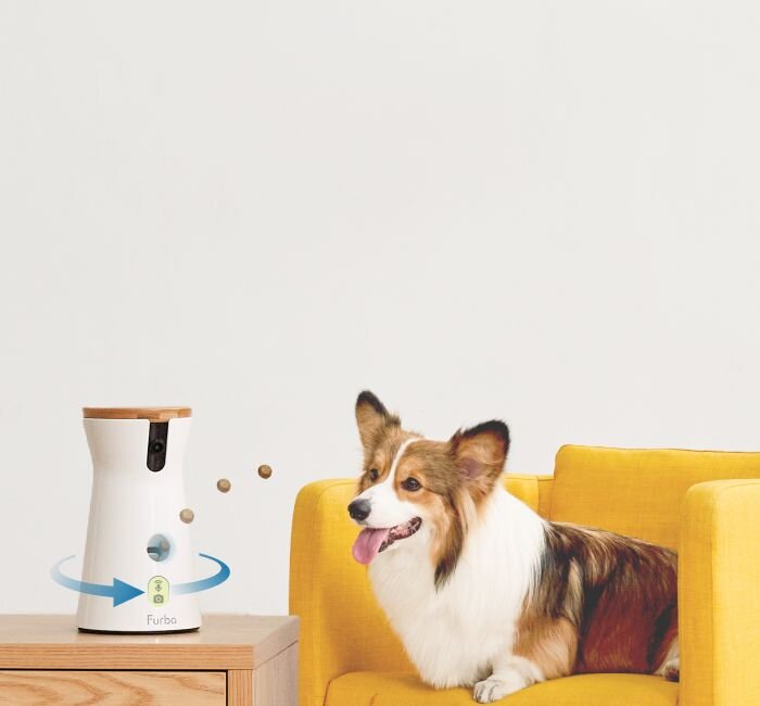 Furbo 360 dog camera with a dog on the couch