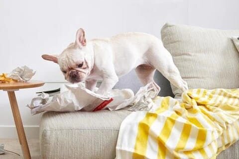 いたずらを予防する