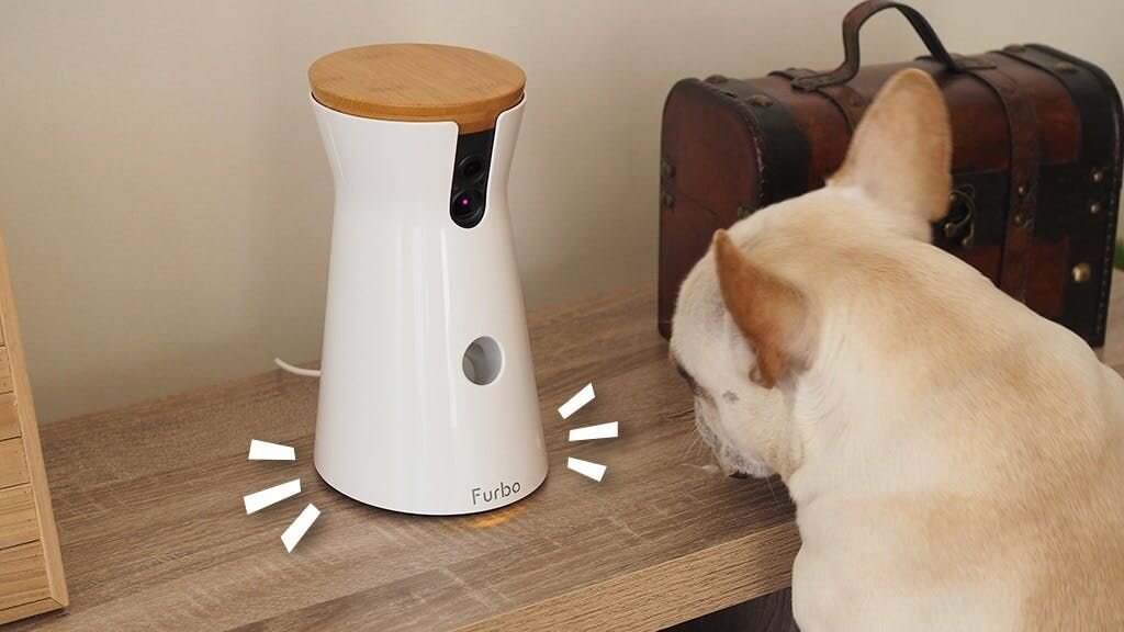 「あれ…倒れない？」
ドンッ！
「体当たりしても、ビクともしない」