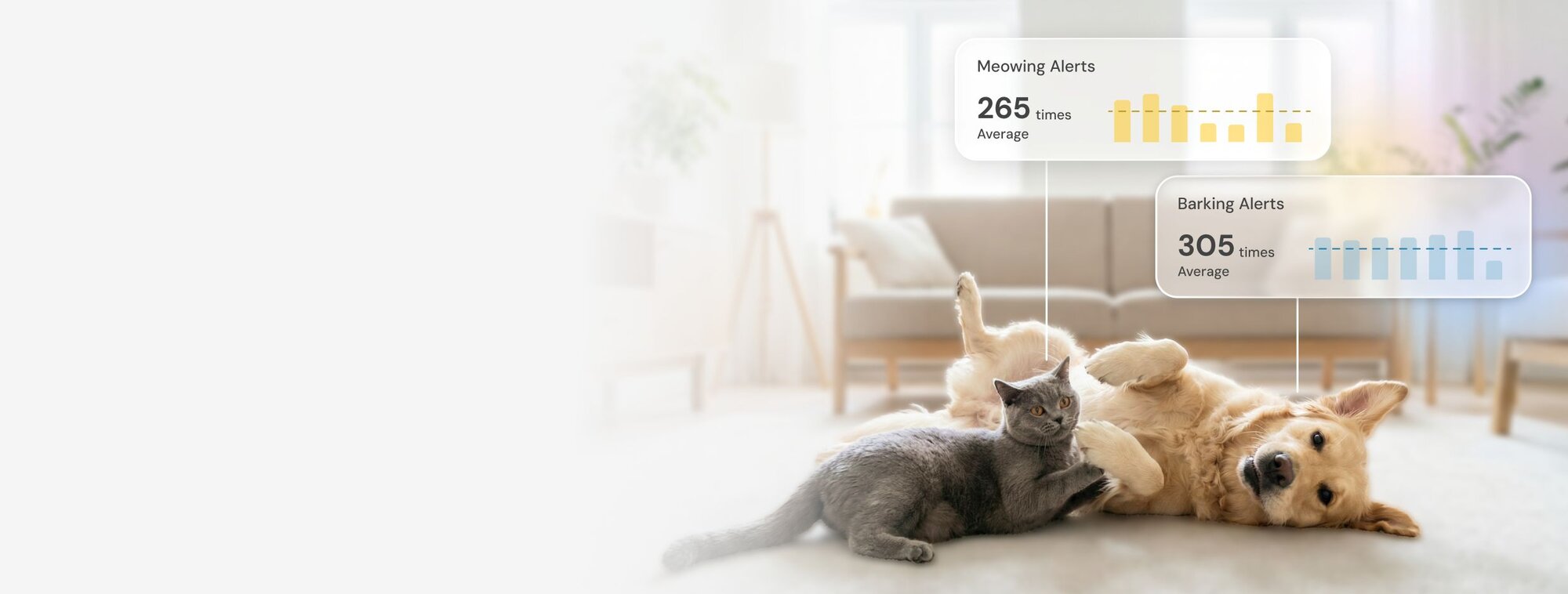 A golden retriever and a grey cat playing on a rug, with two data overlays showing "Meowing Alerts" at a 265-time average and "Barking Alerts" at a 305-time average, each with a bar graph.
