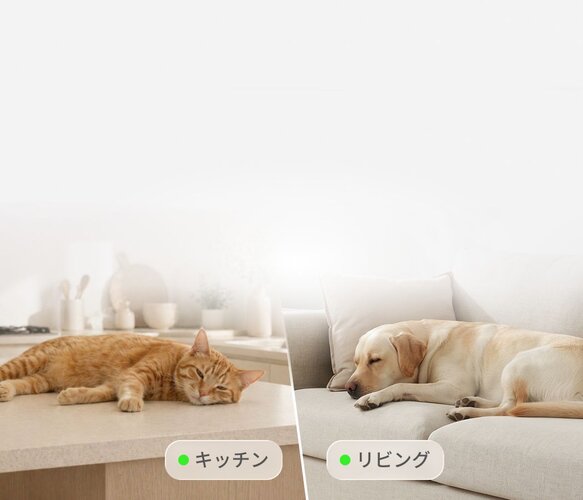 A split-screen view showing an orange cat napping on a kitchen counter next to a Furbo 360° Cat Camera, and a yellow labrador sleeping on a light-colored sofa in the living room.