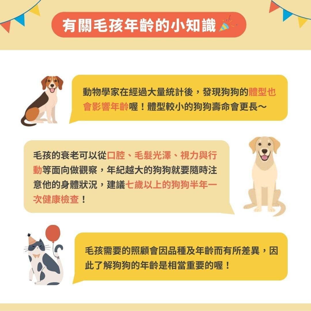 毛孩年齡小知識
