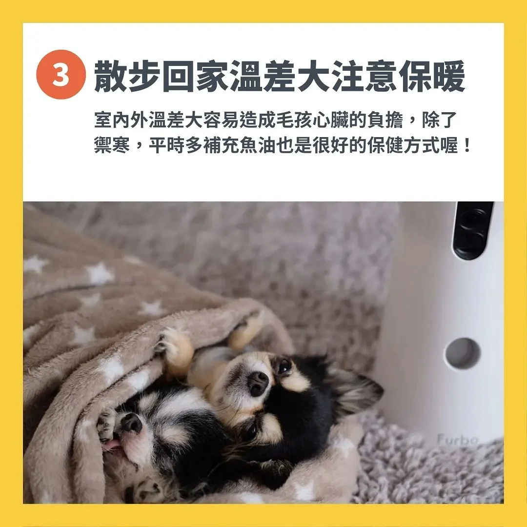 照顧毛孩注意事項