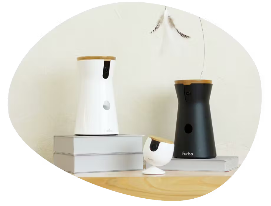Furbo 360° Dog Camera, Cat Camera, and Mini displayed side by side on stacked books.