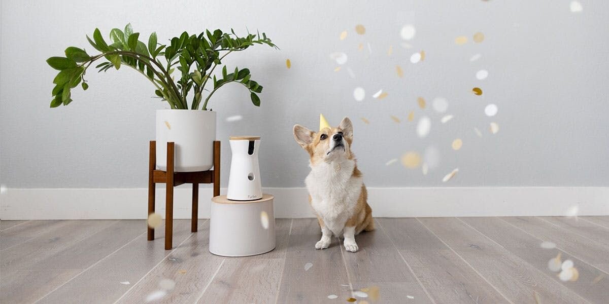 A photo of a corgi in a party hat, sitting next to a Furbo 360° Dog Camera amidst gold and silver confetti