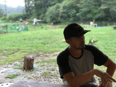 お互いの欲求の中で問題が起きてしまうんですね。 可愛がることだけじゃなく、群れの中で従う、とかそういう順番をしっかりする方が大事です。