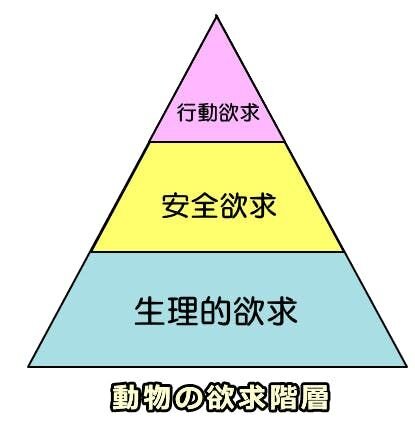 ワンちゃんは何をされたら嬉しいか？
