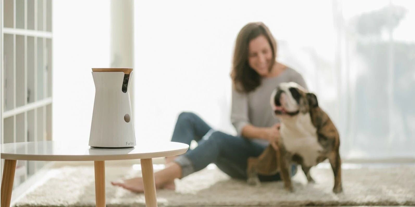 5 Types of Dog Owners Who Need A Dog Camera the Most