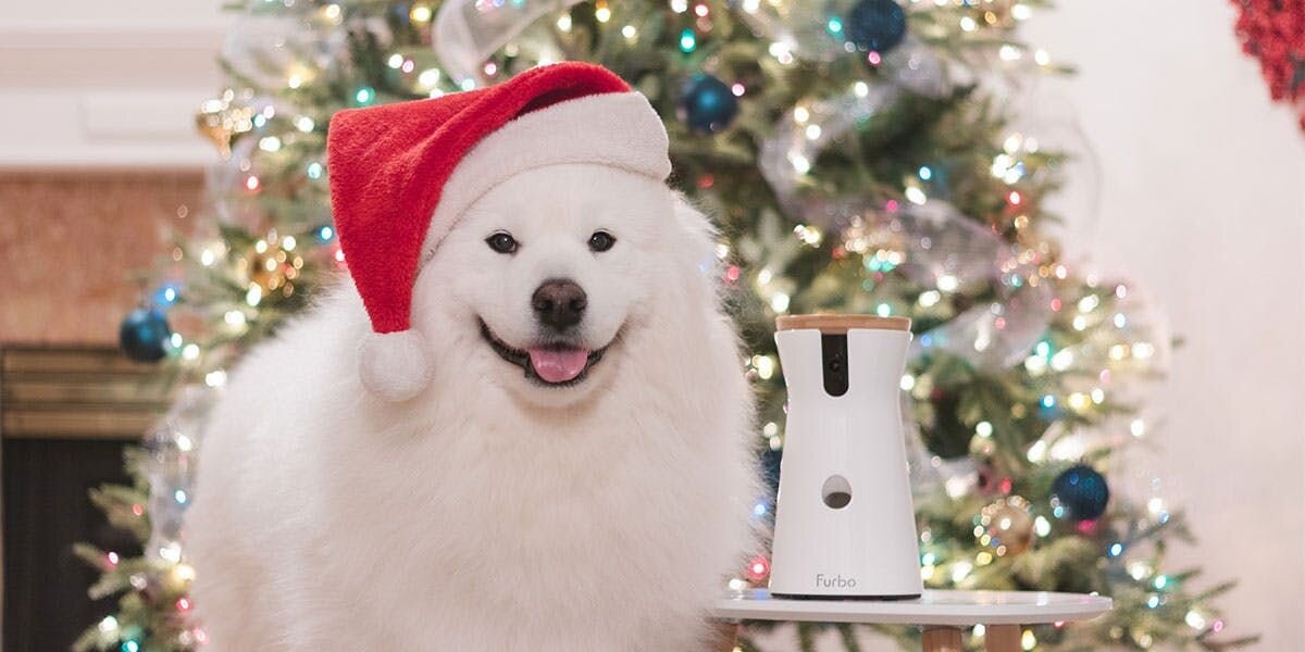 a photo of a Samoyed wearing a Santa hat, standing next to a Furbo dog camera in front of a decorated Christmas tree