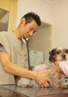 お留守番が長時間になってしまう場合は、ペットシッターにお願いしたり、シニア犬に特化した施設や動物病院、信頼できる友人に預けることも考慮しましょう。
