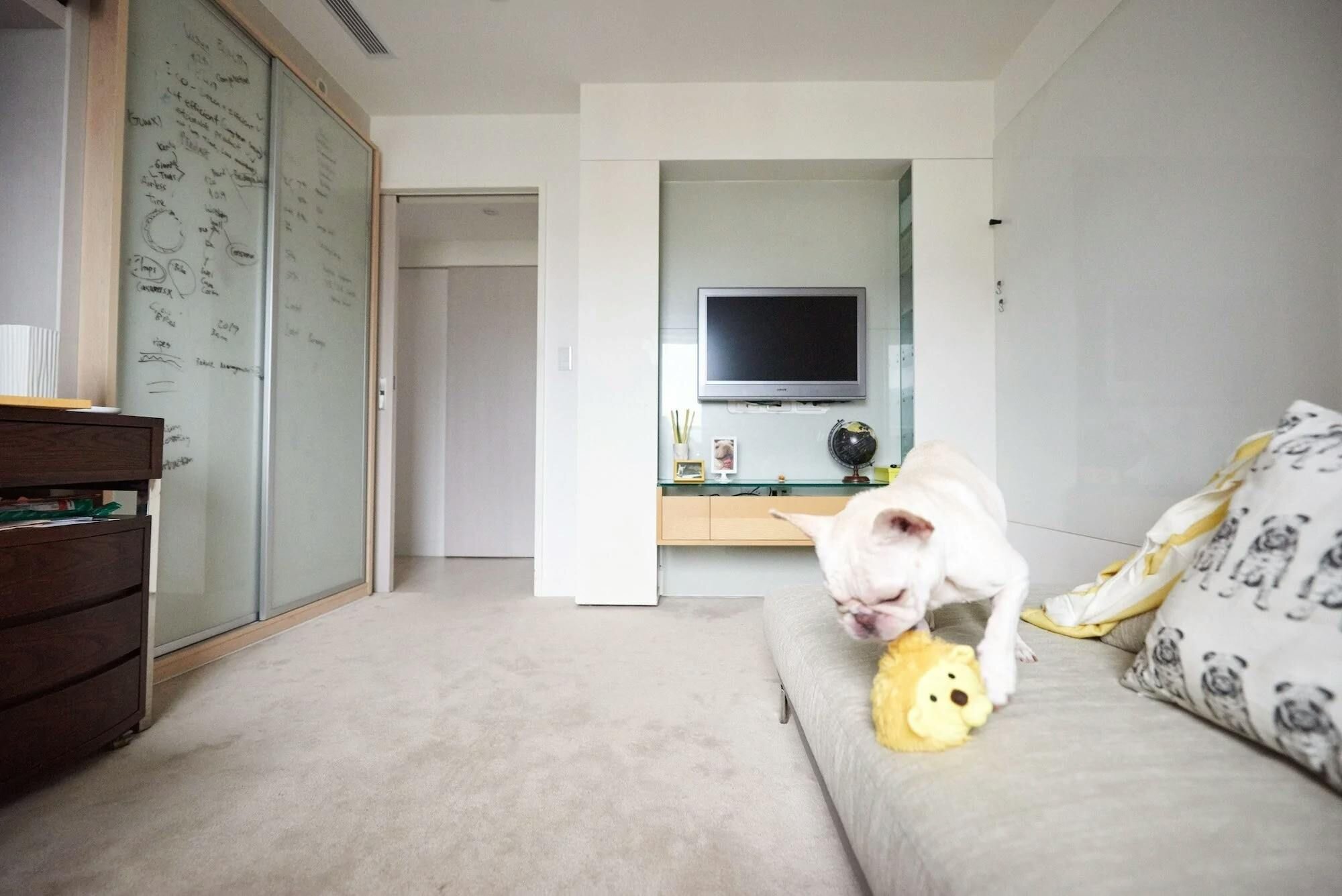 Chapter 3: Best Toys for Dogs With Separation Anxiety