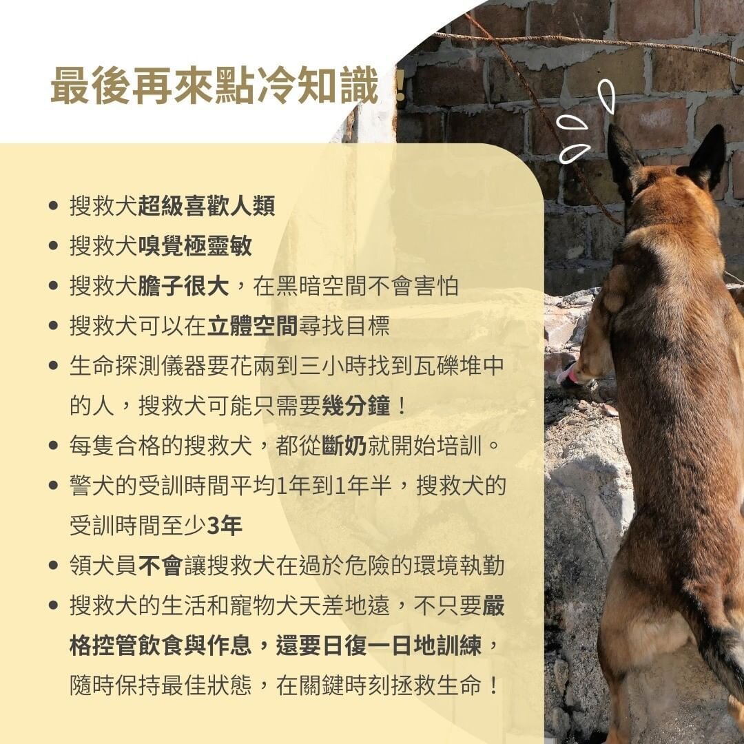 搜救犬冷知識