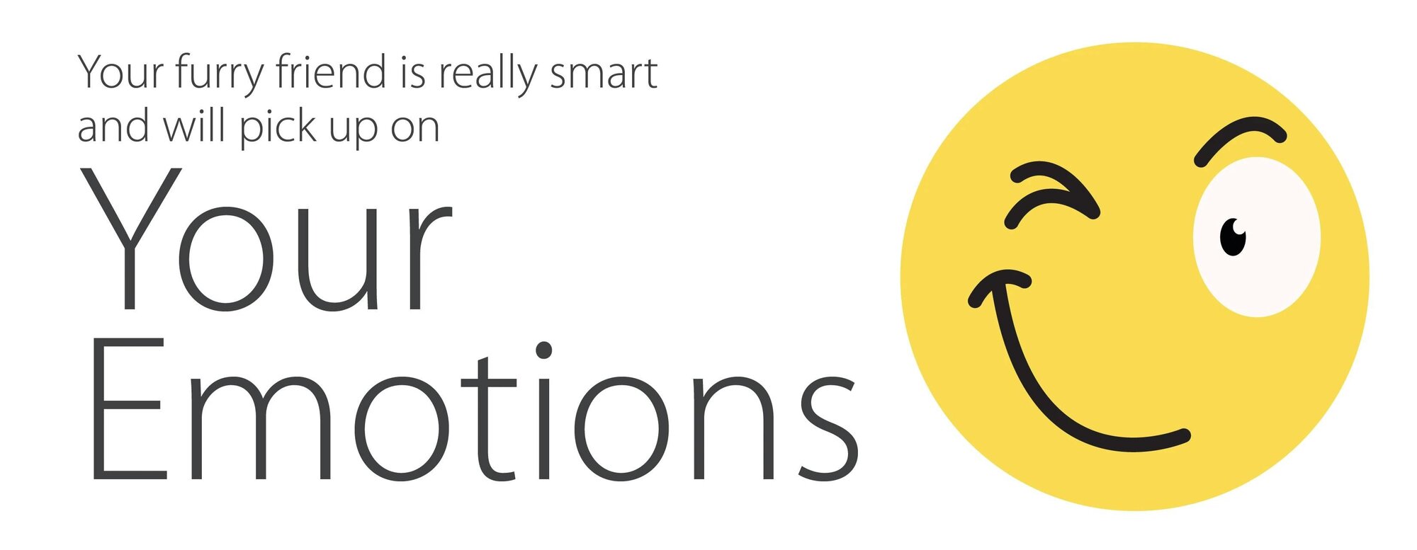 Check Your Own Reactions