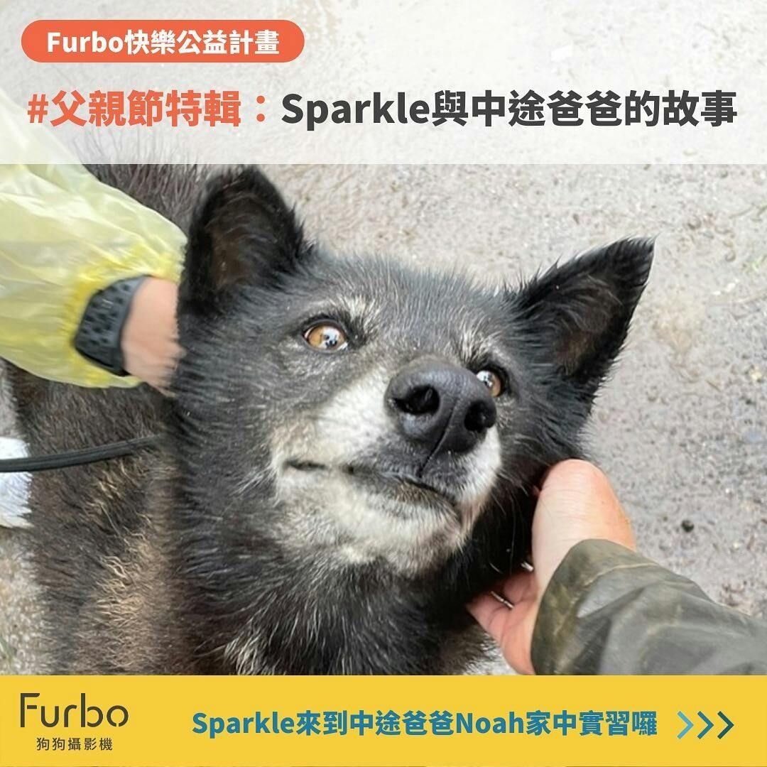 愛的啟蒙者｜中途爸爸 Noah 與 Sparkle 的暖心父親節故事