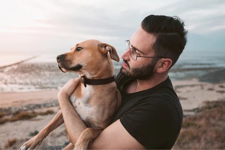 picking up a large dog