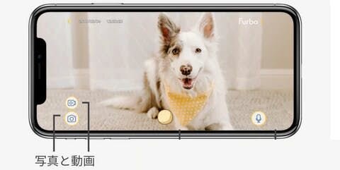 Furboの高画質カメラでお留守番中の愛犬を見守る飼い主さんが必ず取る行動、それは「世界で一番かわいい愛犬のお留守番姿を保存すること」です！ Furboの開発スタッフはもちろん愛犬家ですので、飼い主さんたちのお気持ちはよく理解しています。そのため、Furboのライブ映像画面にはワンタップで写真...