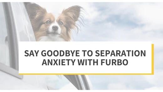 Say Goodbye to Separation Anxiety with Furbo