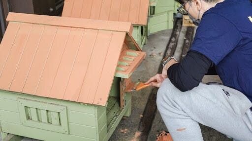 Umweltsäuberung und Schädlingsbekämpfung:
Trotz der hohen Anzahl an Katzen in der Gegend ist Schädlingsbefall zwar selten, aber ein unvermeidliches...