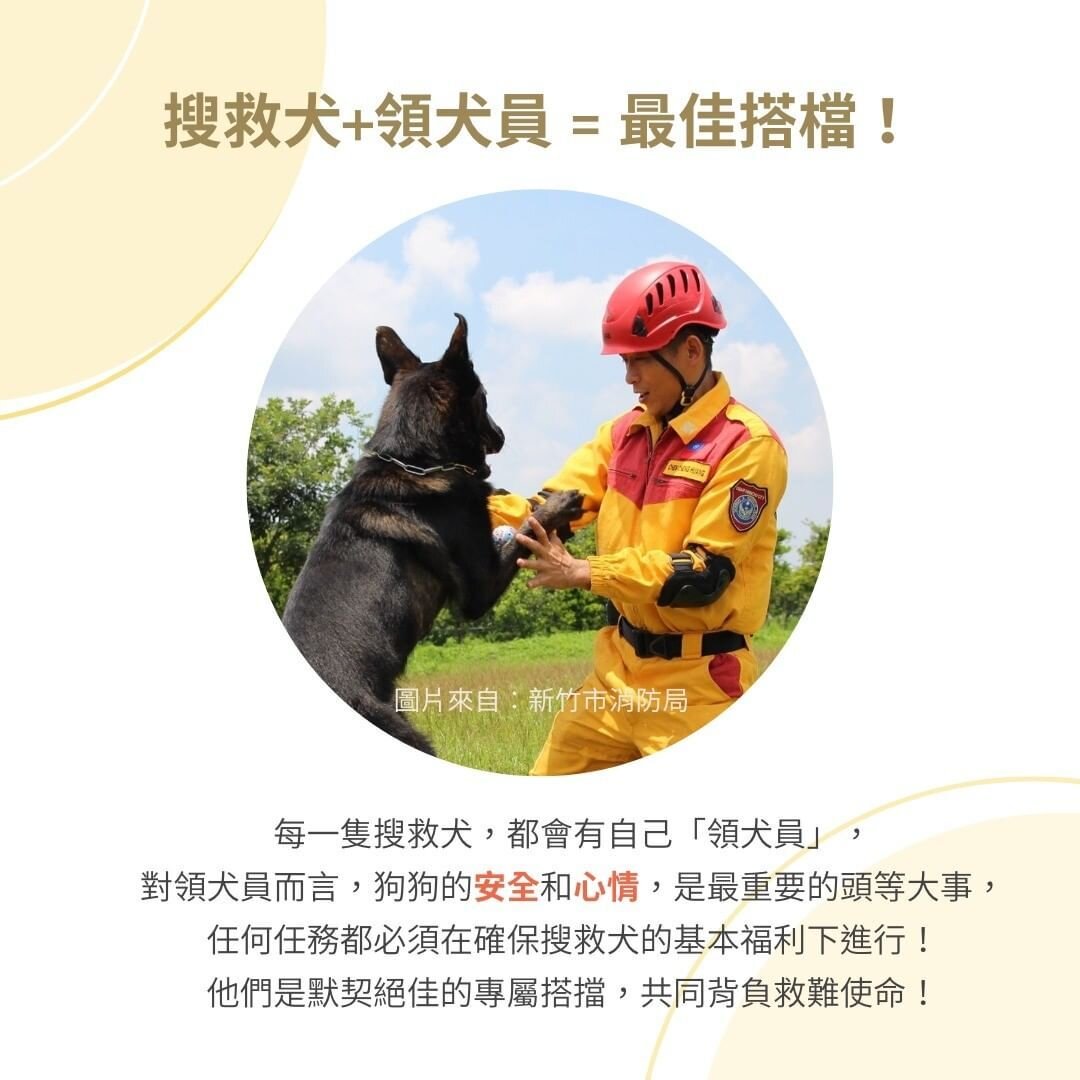 人類的最佳拍檔