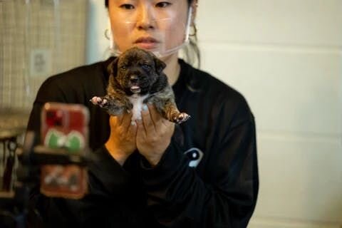 FurboチャリティーアンバサダーのIMALUさんは「島ならではの様々な壁にぶつかりながらも、たくさんの動物を保護されているというお話を聞き、ぜひご協力したいと思いました」と話します。FurboスタッフはIMALUさんと共に宮古島に赴き、4月28日・29日に宮古島S.T.A.で里親を待つ保護犬...