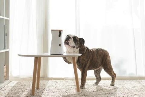 当てはまるタイプはありましたか？