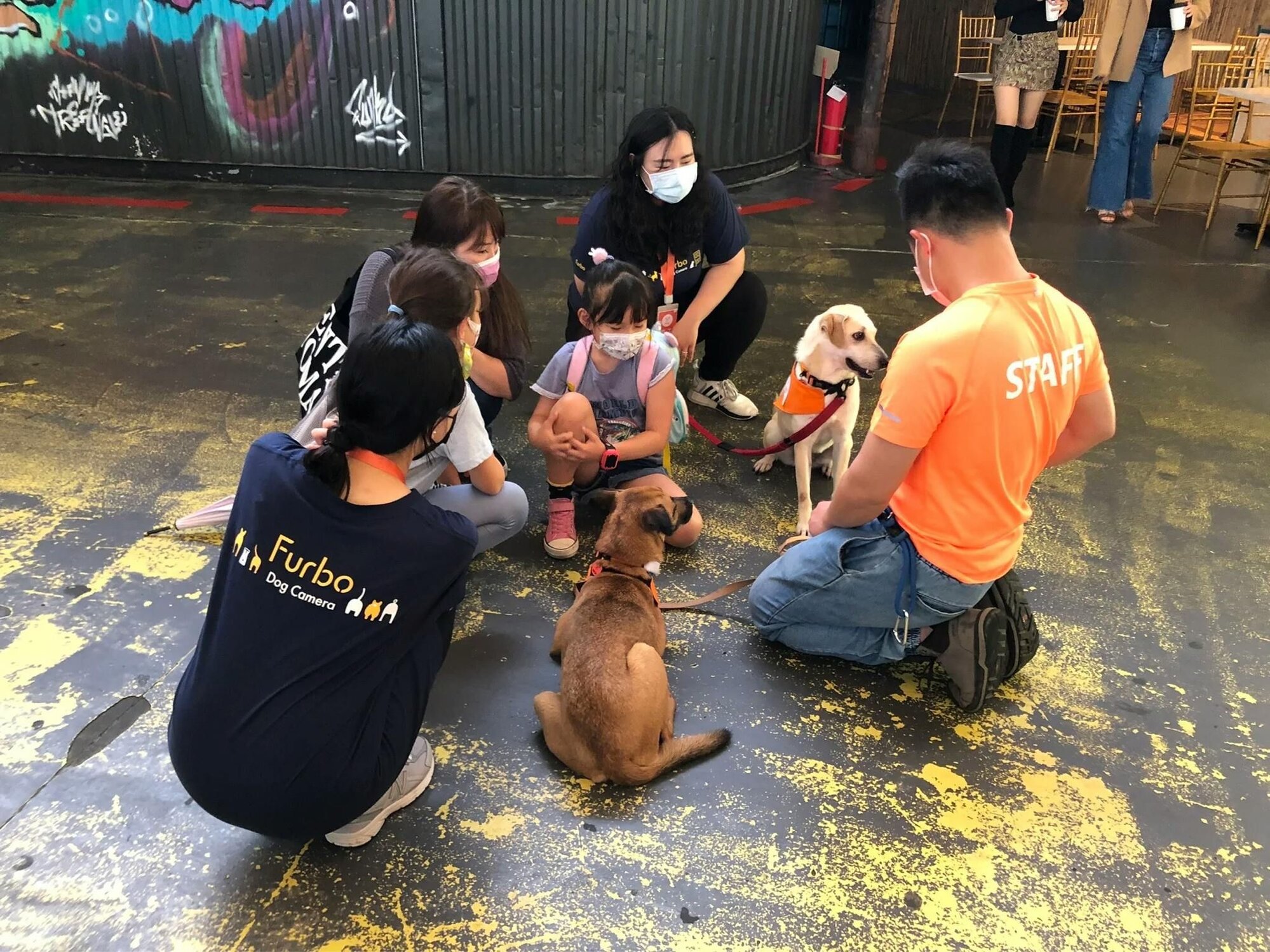 送養會的志工、民眾與狗狗們