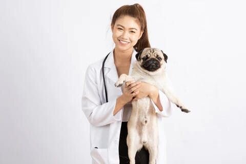 先生の治療方針に疑問を抱いた時は、迷わずセカンドオピニオンを申し出てみましょう！