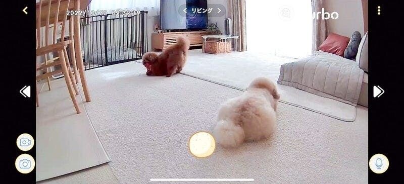 新型360度ビュー↓