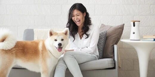 5 Reasons Owning a Dog Camera Will Change Your Life